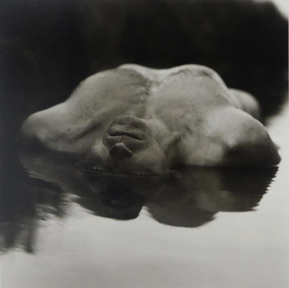 Frank Yamrus | Primitive Behavior (1995) | MutualArt