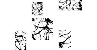 Making Sense - Ásmundarsalur