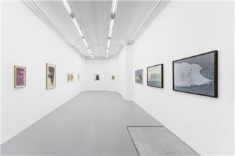 Dan Asher: Nature - Galerie Pact