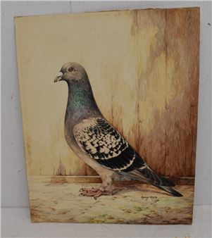 Pigeon, signed and dated 1935 lower right, also with small card showing the Pigeon as the "Royal Messenger", the property of George F - Harry Hoyle