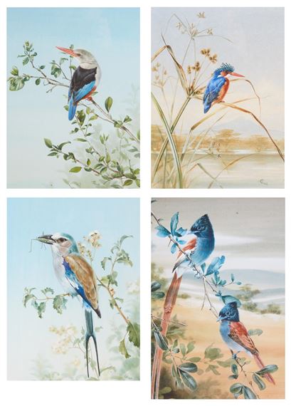 Lilac Roller with grasshopper; Kingfisher; Greyheaded Kingfisher; together with another (4 - Rena Fennessy