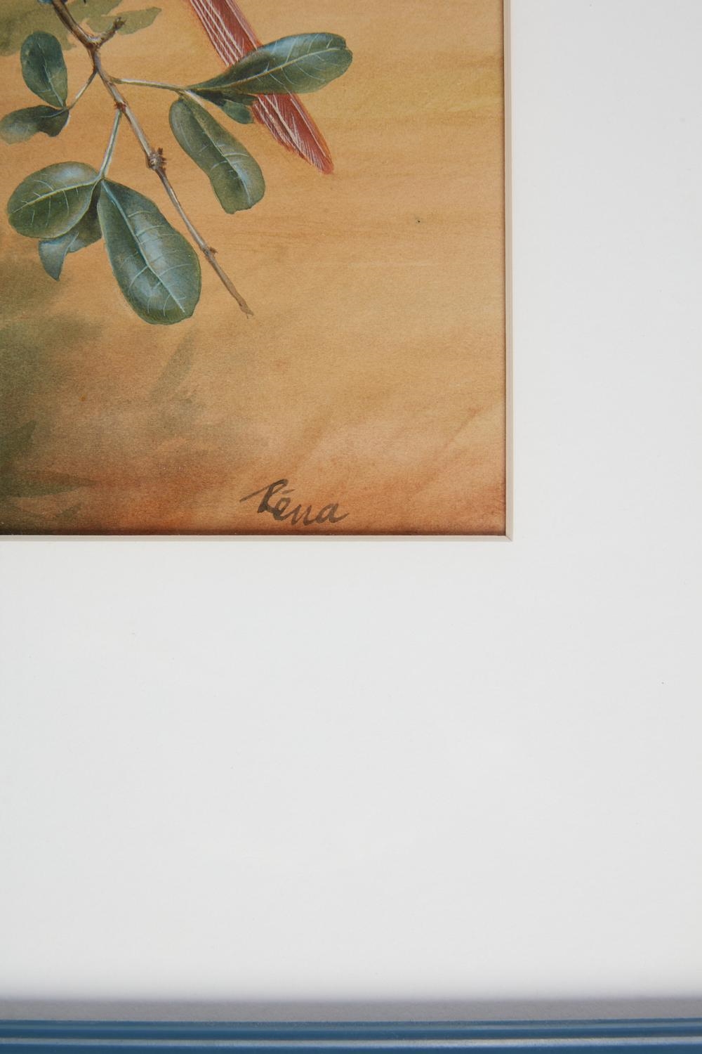 Artwork by Rena Fennessy, Lilac Roller with grasshopper; Kingfisher; Greyheaded Kingfisher; together with another (4, Made of watercolor on paper