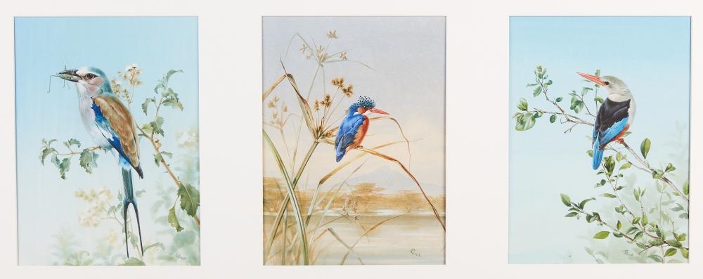 Artwork by Rena Fennessy, Lilac Roller with grasshopper; Kingfisher; Greyheaded Kingfisher; together with another (4, Made of watercolor on paper
