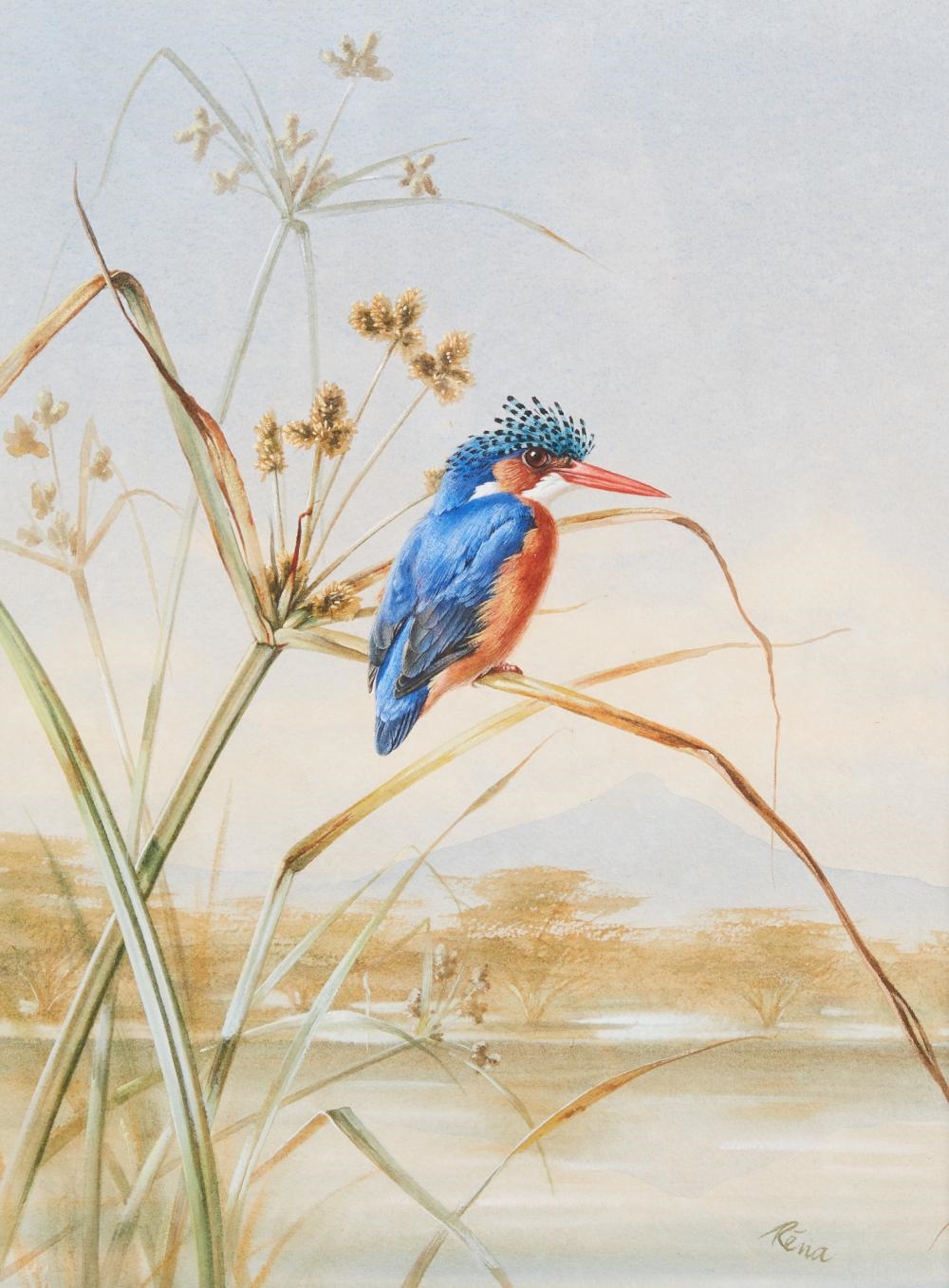 Artwork by Rena Fennessy, Lilac Roller with grasshopper; Kingfisher; Greyheaded Kingfisher; together with another (4, Made of watercolor on paper