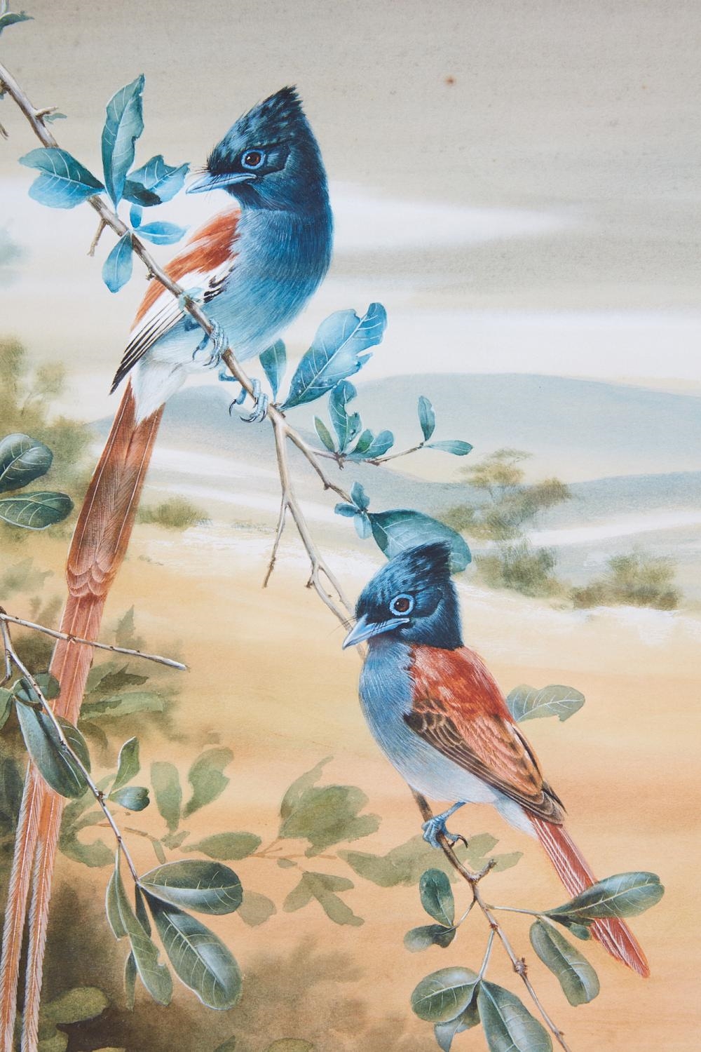 Artwork by Rena Fennessy, Lilac Roller with grasshopper; Kingfisher; Greyheaded Kingfisher; together with another (4, Made of watercolor on paper