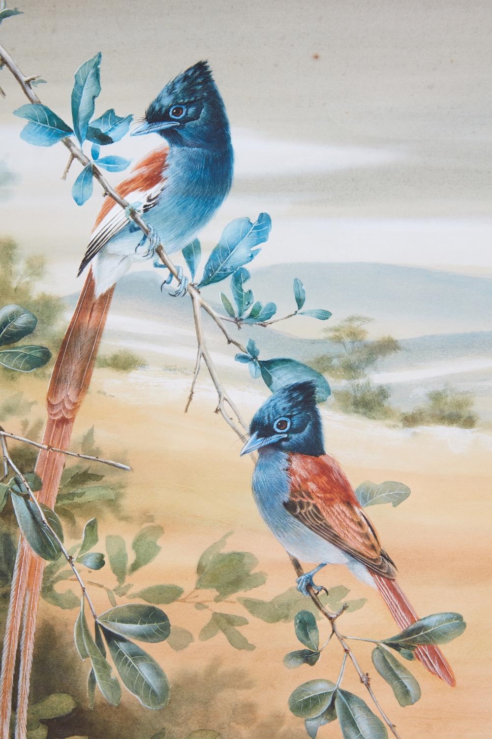 Artwork by Rena Fennessy, Lilac Roller with grasshopper; Kingfisher; Greyheaded Kingfisher; together with another (4, Made of watercolor on paper