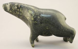 Swimming Bear - Qavavau Shaa