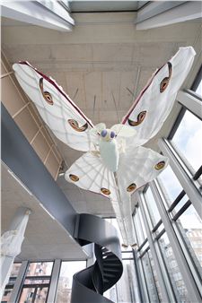 Unselfing at Dortmunder Kunstverein