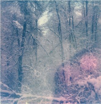 Ester Vonplon: Eco - Galerie Stephan Witschi
