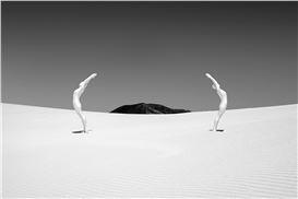 Astrid Verhoef: Human//Nature
