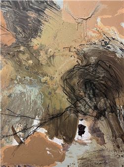 Acacia Seeds - Galerie Balice Hertling