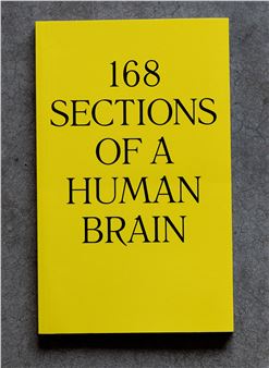 168 sections of a human brain - Rossella Biscotti