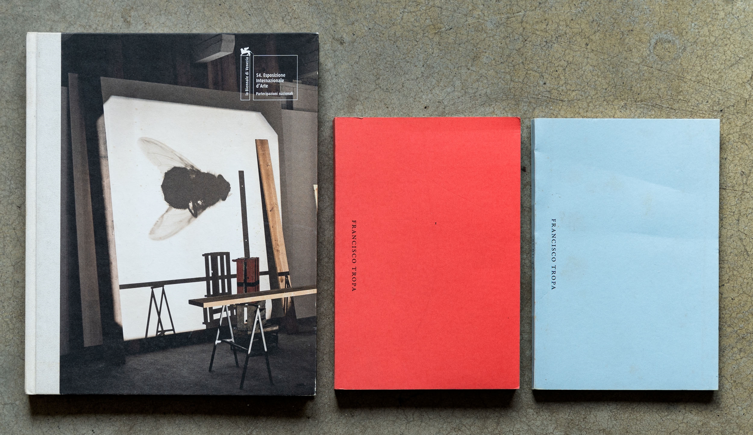 Artwork by Francisco Tropa, Lot of three catalogues