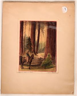 Sequoia National Park Watercolor by Frank V Chaka - Frank V Chaka