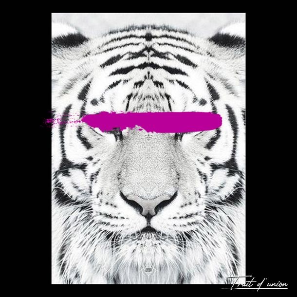 Artwork by Trait D'Union, Savage" series, Made of Plexiglas print on 2mm acrylic