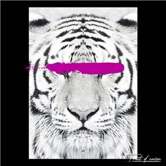 Savage" series - Trait D'Union