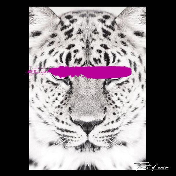 Artwork by Trait D'Union, Savage" series, Made of Plexiglas print on 2mm acrylic