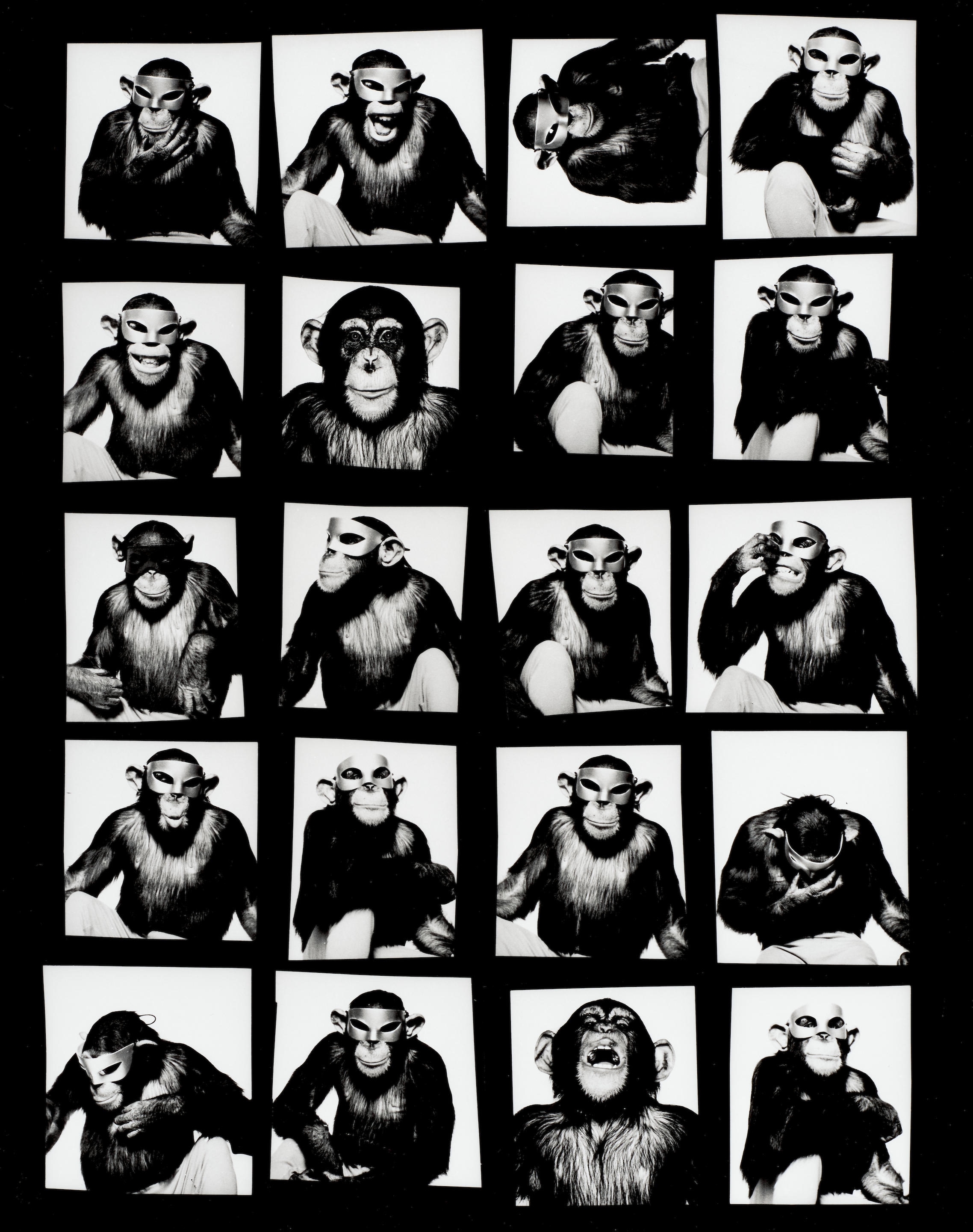 Artwork by Albert Watson, Monkey with Mask Contact Sheet, Made of gelatin silver print