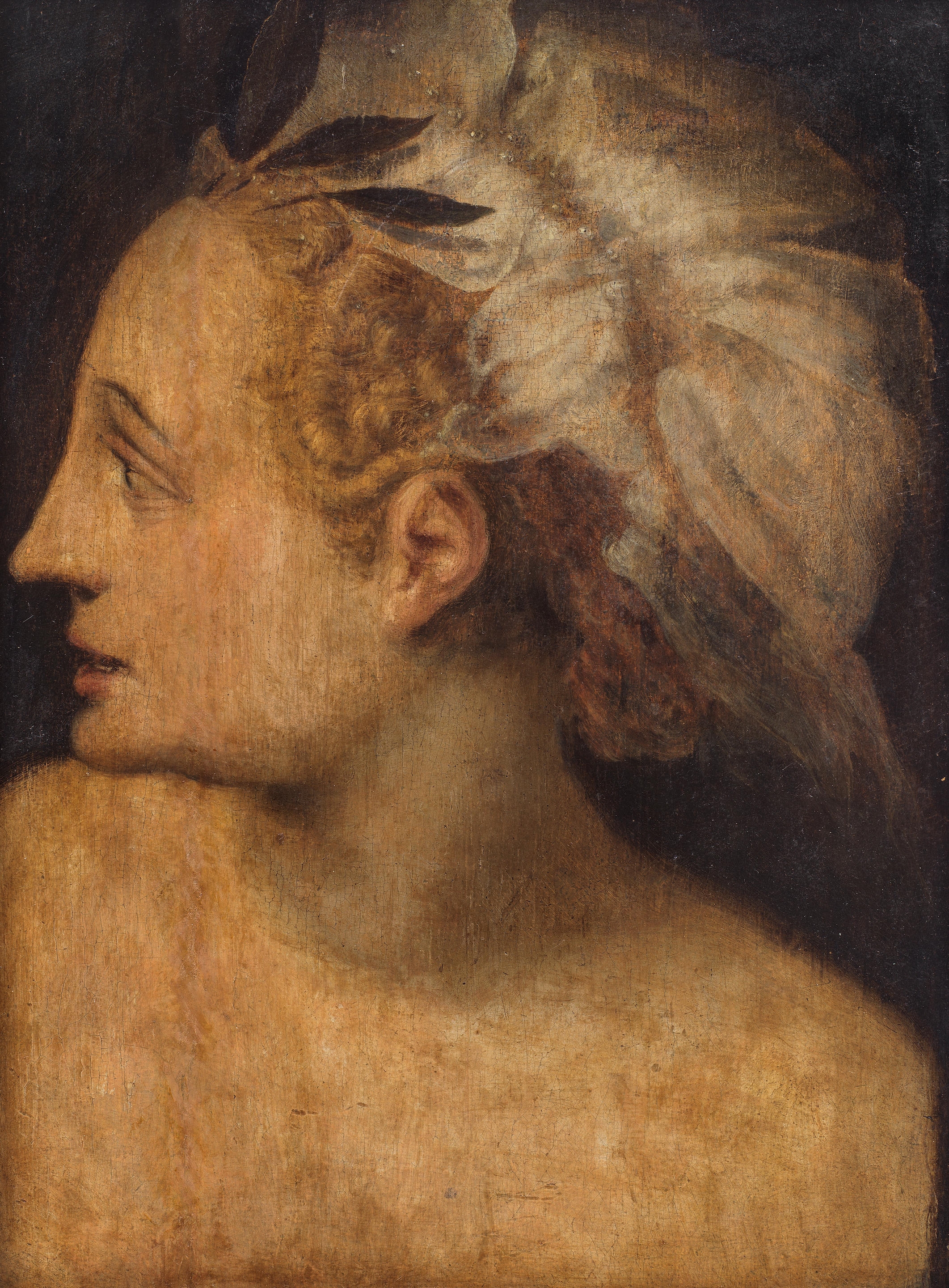 Bust of a woman wearing a headdress, in profile - Frans Floris