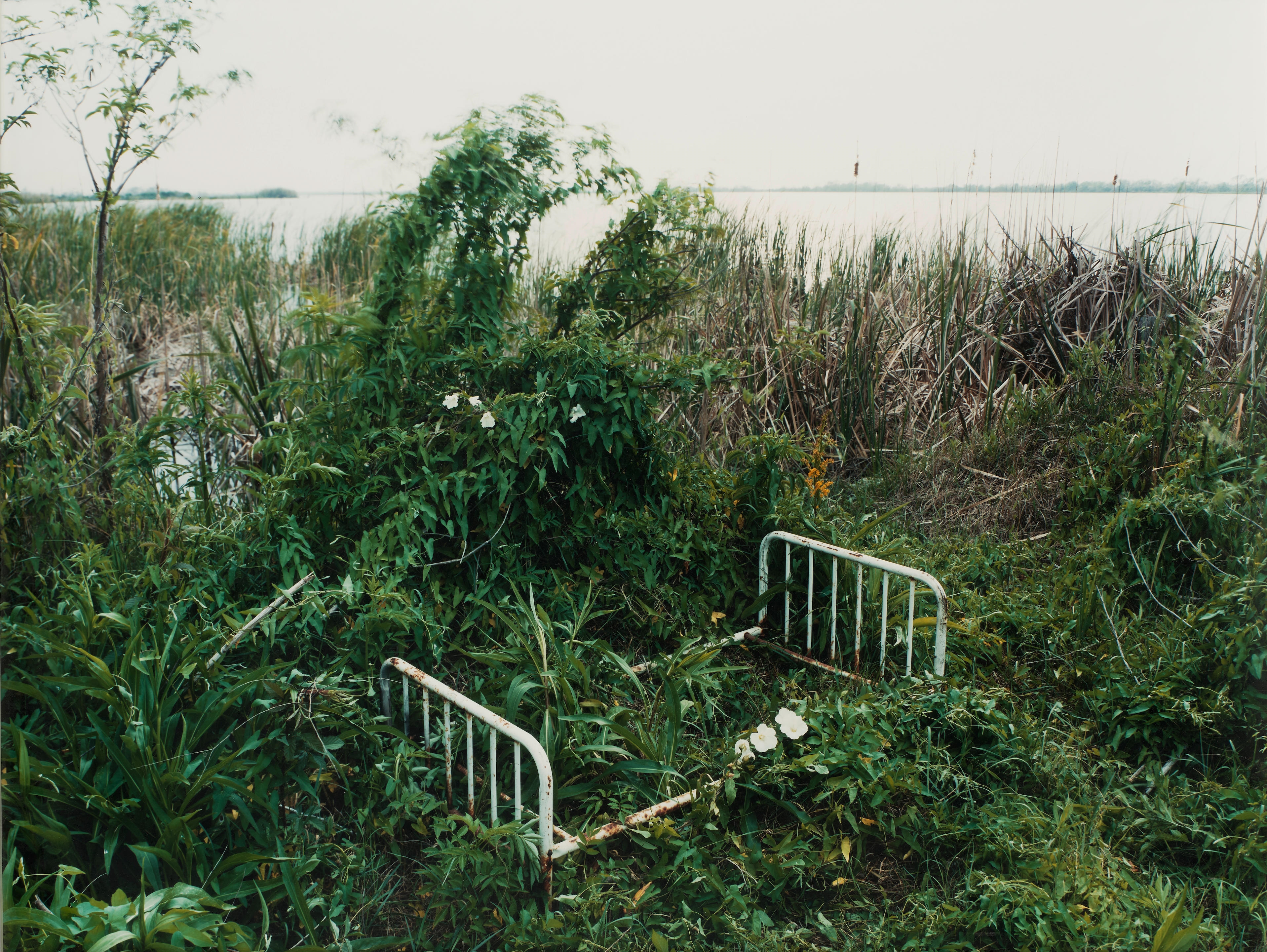 Venice, Louisiana (from 'Sleeping by the Mississippi - Alec Soth