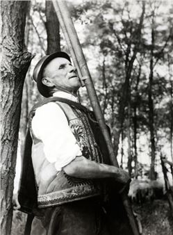 Northern Slovakia - Irena Blühova