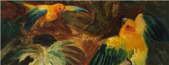 Adventure Brazil: Johann Moritz Rugenda's pictorial journey - Kunstsammlungen und Museen Augsburg