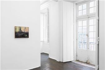Julia Adelgren: Roseate Nights - ADZ Gallery