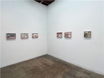 Rachael Neubauer: Bosch’s Echo: Chronicles of Encroachment - Walter Maciel Gallery
