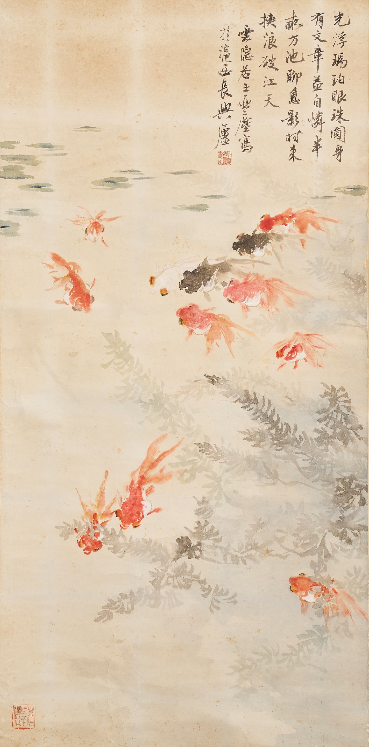 Goldfish - Wang Yachen
