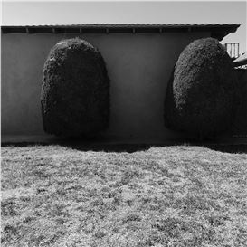 Exploring the Landscape of Injustice: Diana Matar's Quiet Critique