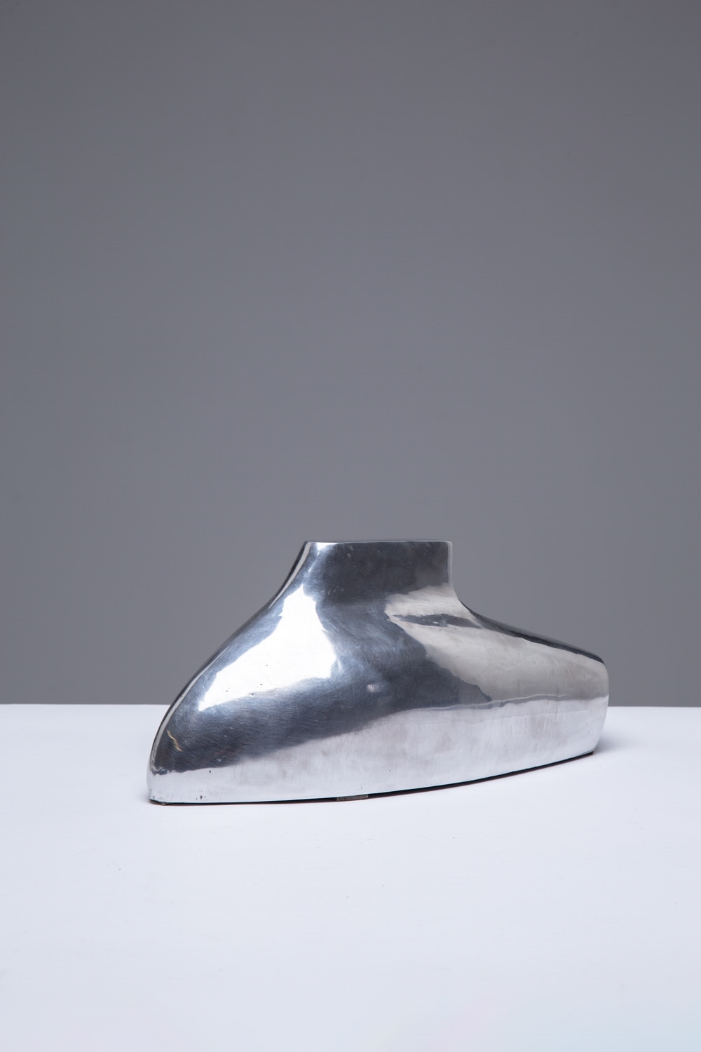 Artwork by Krzysztof M. Bednarski, Moby Dick, Made of aluminium