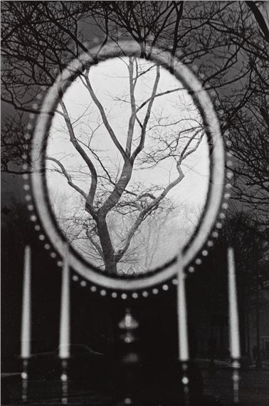 Eva Rubinstein | Tree in the mirror (1967) | MutualArt