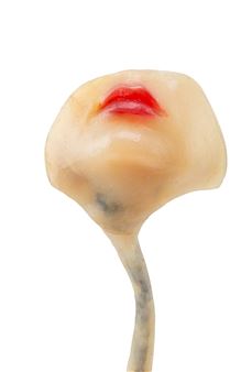 "LAMPE-BOUCHE (USTA ILUMINOWANE I)" - Alina Szapocznikow