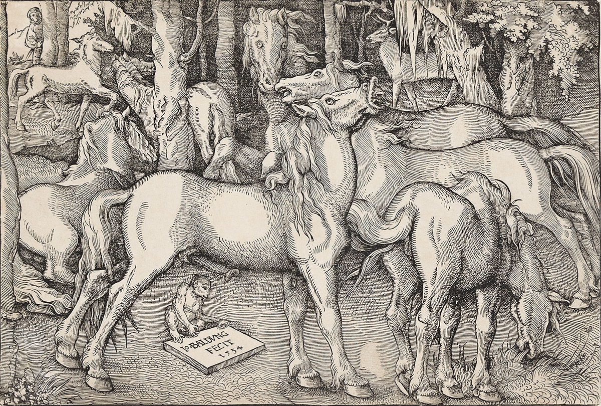 Group of Seven Horses - Hans Baldung Grien