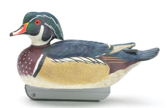 Wood duck drake by Len Carnaghi