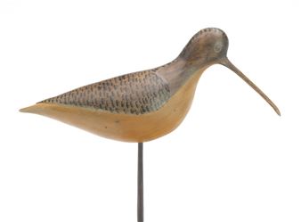 Curlew - Ryan Dockiewicz