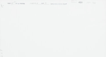 Artwork by Oliver Gagliani, Untitled (Curtains, Made of Gelatin silver print