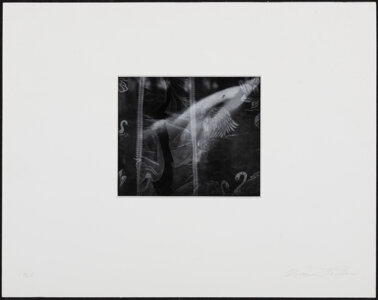 Artwork by Oliver Gagliani, Untitled (Curtains, Made of Gelatin silver print