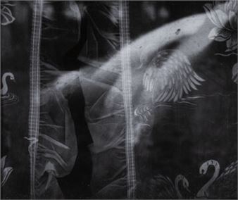 Untitled (Curtains - Oliver Gagliani