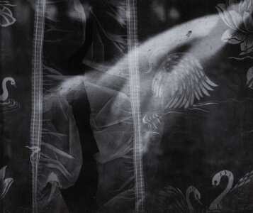 Artwork by Oliver Gagliani, Untitled (Curtains, Made of Gelatin silver print