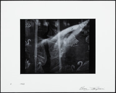 Artwork by Oliver Gagliani, Untitled (Curtains, Made of Gelatin silver print