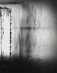 Wall Site Series - Leland Rice