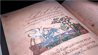 Story of the Fable Celebrated in New Exhibition at Louvre Abu Dhabi