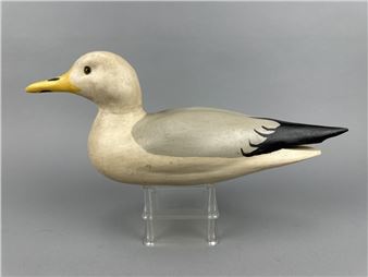 Seagull - Sonny Bashore