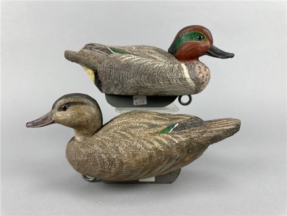 Green-Winged Teal