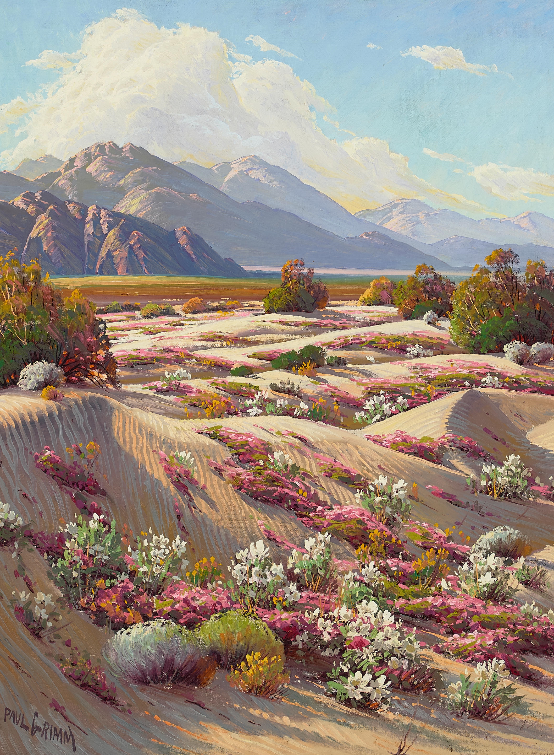 Artwork by Paul Grimm, Desert Springtime, Made of oil on canvas laid to board