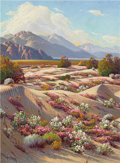 Desert Springtime by Paul Grimm