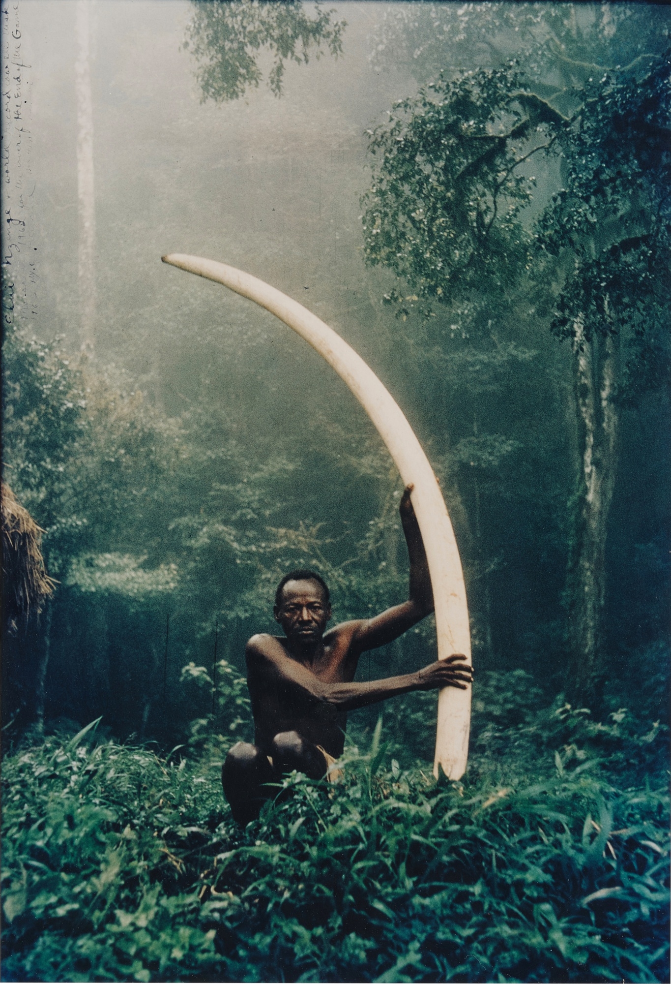 Elui Nzenge + world record cow ele tusk, Marasabit - Peter Beard