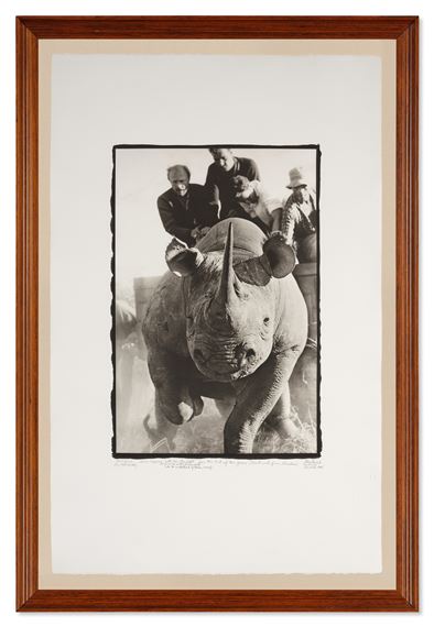 Peter Beard | Rhino Roping with Ken Randall (1964) | MutualArt