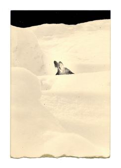 Yamamoto Masao: Animal Spirit - PDX Contemporary Art